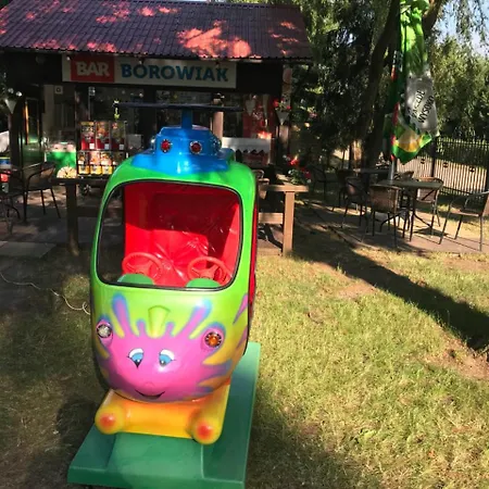 Osrodek Wypoczynkowy Borowiak Ocypel